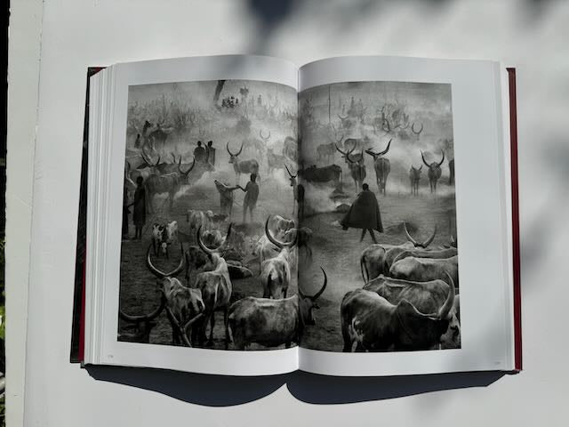 Sebastião Salgado: Genesis – Gallery Bon Bon