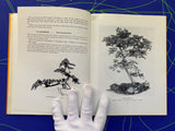 The South African Bonsai Book by Doug Hall and Don Black
