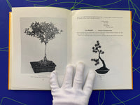 The South African Bonsai Book by Doug Hall and Don Black