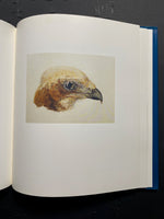 Turner's Birds by David Hill