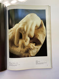 Rodin by Tim Marlow