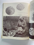 Basketry: A Renaissance in Southern Africa