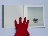 Craig Wylie - Still Life 1 - 17 June 2006