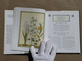 So Many Sweet Flowers: A Seventeenth-Century Florilegium - Paintings by Johann Walther 1654