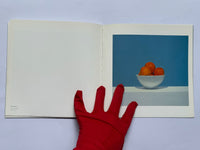 Craig Wylie - Still Life 1 - 17 June 2006