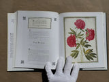 So Many Sweet Flowers: A Seventeenth-Century Florilegium - Paintings by Johann Walther 1654