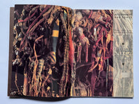 Astonishment & Power: The Eyes of Understanding: Kongo Minkisi / The Art of Renee Stout