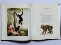 The Ape In Myth & Art