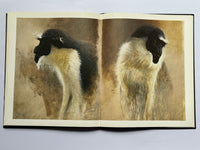 The Ape In Myth & Art