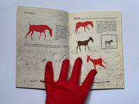 4 x South African Rock Art booklets