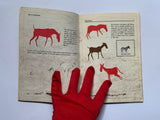 4 x South African Rock Art booklets