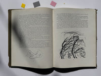 Johannes Meintjes - Lyrical Work/Liriese Werk