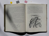Johannes Meintjes - Lyrical Work/Liriese Werk