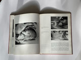 Frederick Kiesler