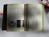 Standard Bank:Ten Years of Collecting (1979-1989)