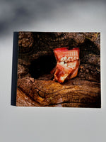 Judith Mason: Talking Pictures -  A Scrapbook with Comments