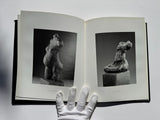 Diana Kortbeek: Beelden en Schilderijen/Sculptures and Paintings