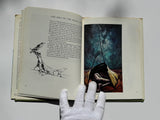 The Dreamtime: Australian Aboriginal Myths in Paintings by Ainslie Roberts