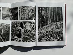 Sebastião Salgado: Genesis – Gallery Bon Bon