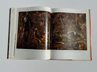 Magnificent Dreams: Burne-Jones and the Late Victorians