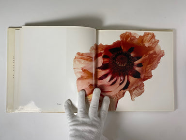 Flowers by Irving Penn – Gallery Bon Bon