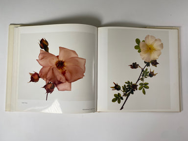 Flowers by Irving Penn – Gallery Bon Bon