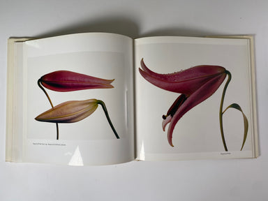 洋書 FLOWERS by Irving Penn Flowers by Irving Penn (1980-05-03): Irving Penn: Amazon.com: Books