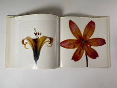 Flowers by Irving Penn – Gallery Bon Bon
