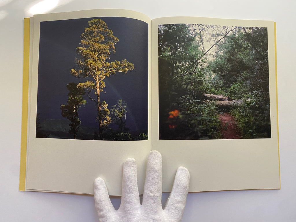 Hogsback by Alexia Webster – Gallery Bon Bon