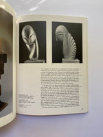 Constantin Brancusi (Modern Masters)