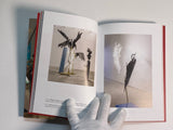 Wim Botha: Still Life with Discontent