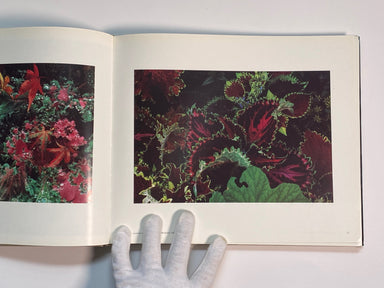 【Ernst Haas：A Colour Retrospective,....】 Ernst Haas: A Color Retrospective: 1952-1986 – Gallery Bon Bon
