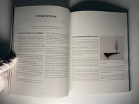 Beth Diane Armstrong: In Perpetuum