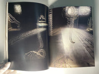 Beth Diane Armstrong: In Perpetuum
