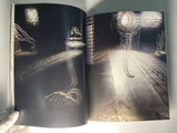 Beth Diane Armstrong: In Perpetuum