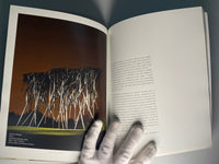 Beth Diane Armstrong: In Perpetuum