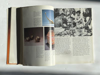 Aditi: The Living Arts of India