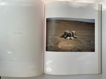 Gabriel Orozco Photogravity アートブック Gabriel Orozco Photogravity アートブック Gabriel Orozco
