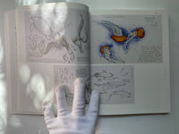 Drawing from Life - The Journal as Art