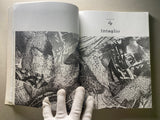 Printmaking in a Transforming South Africa by Philippa Hobbs, Elizabeth Rankin