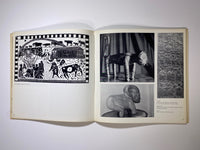 Contemporary African Art