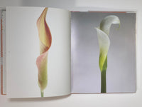 Bloom by Paul Solberg