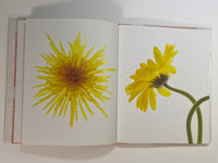 Bloom by Paul Solberg