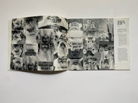 Willem Boshoff: Nonplussed (Brochure to Accompany the Exhibition)