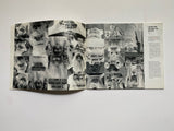 Willem Boshoff: Nonplussed (Brochure to Accompany the Exhibition)