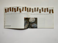 Willem Boshoff: Nonplussed (Brochure to Accompany the Exhibition)