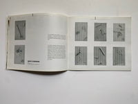 Willem Boshoff: Nonplussed (Brochure to Accompany the Exhibition)