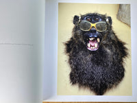 Pieter Hugo: Messina / Musina