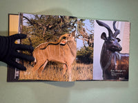 Bronze & Fire: The Art of Donald Greig