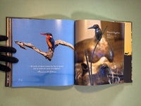 Bronze & Fire: The Art of Donald Greig